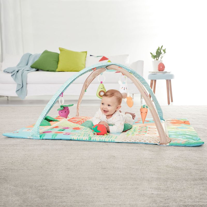 Skip Hop Farmstand Grow & Play Activity Gym