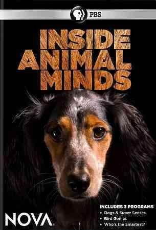 PBS NOVA-INSIDE ANIMAL MINDS (DVD) DNOVA6281D