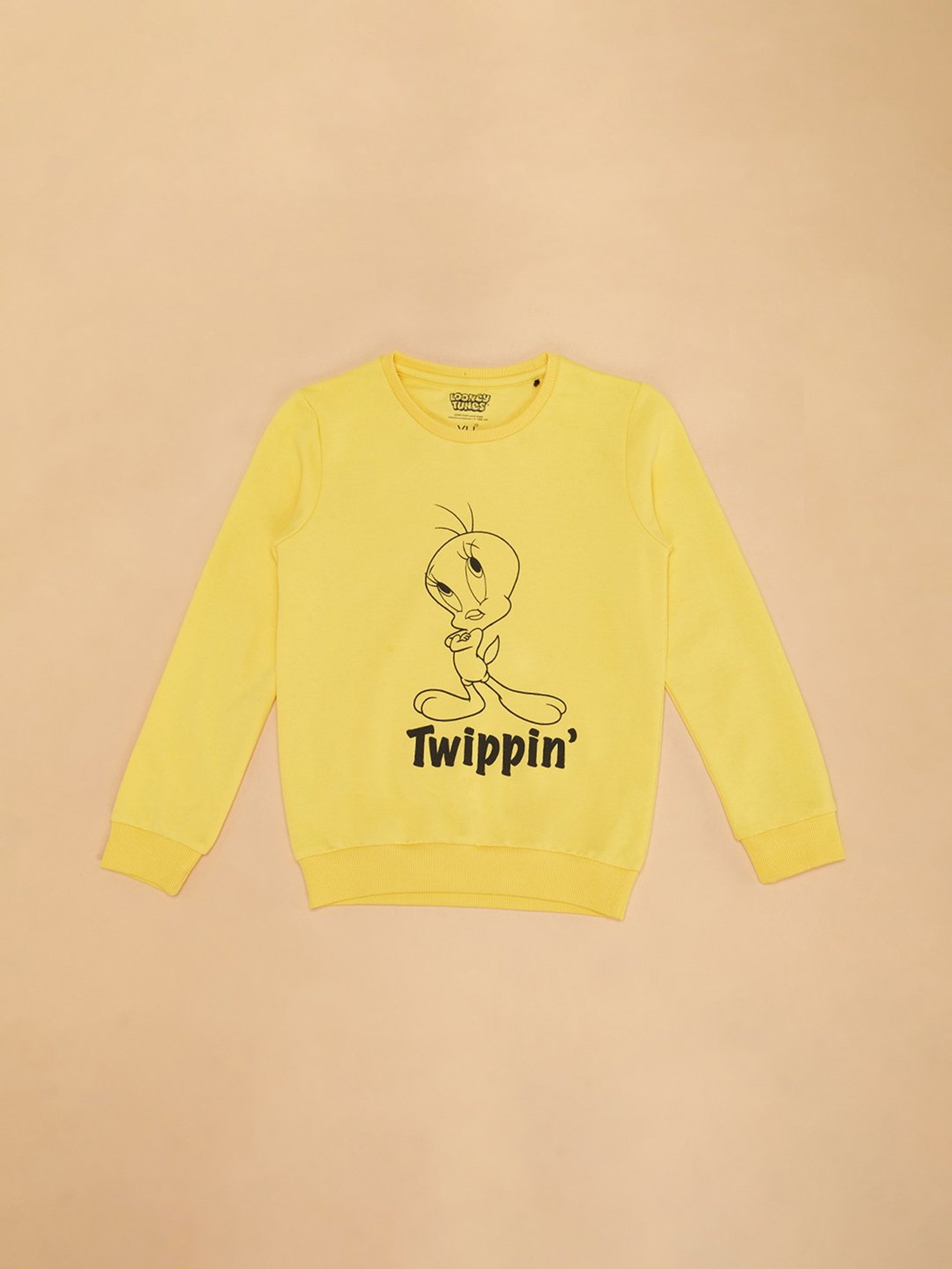 KIDS ONLY Blue Cotton Embroidered Full Sleeves Sweatshirt