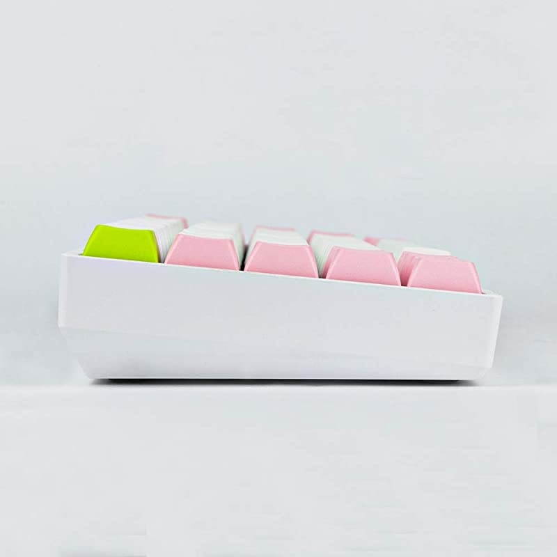 SKYLOONG SK61 61 Keys Hot Swappable Mechanical Keyboard with RGB Backlit NKRO IP6X Waterproof TypeC Cable for WinMacGaming Gateron Optical Blue Pink