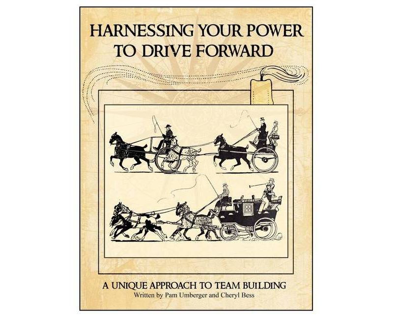 Harnessing Your Power To Drive Forward - by  Cheryl Bess & Pam Umberger (Paperback)