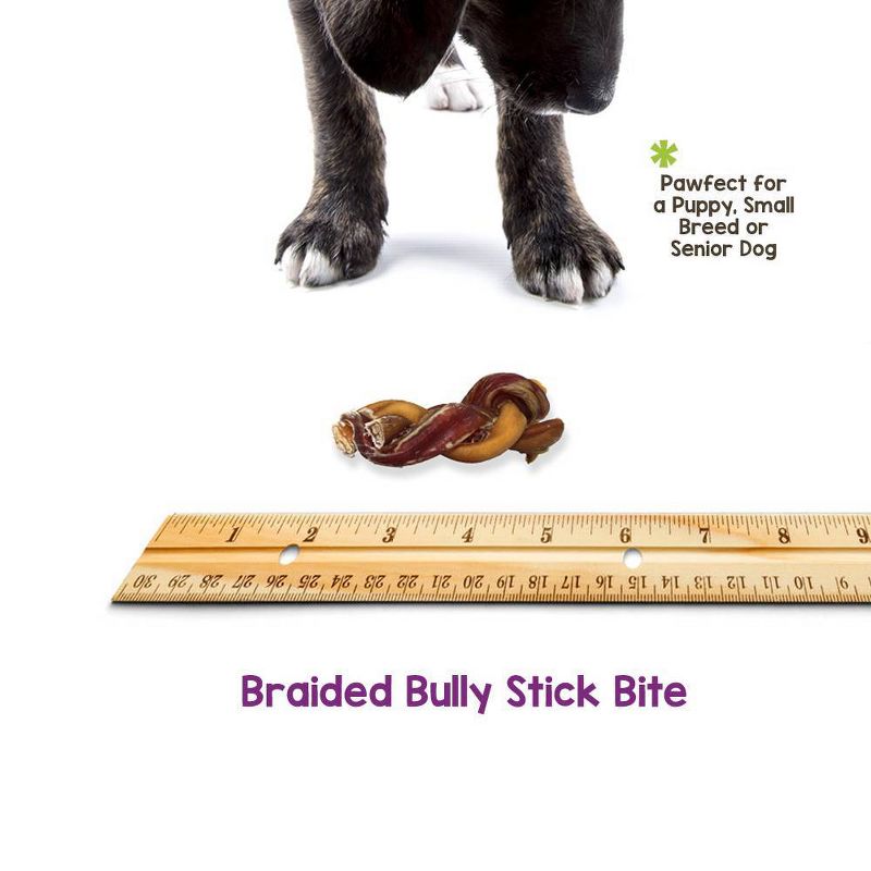 Nature Gnaws Braided Bully Bites 3-4" Jerky Beef Dog Treats- 15ct