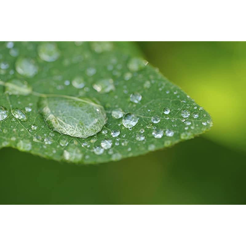 EOS Rebel T6i 10x High Definition 2 Element CloseUp Macro Lens 67mm