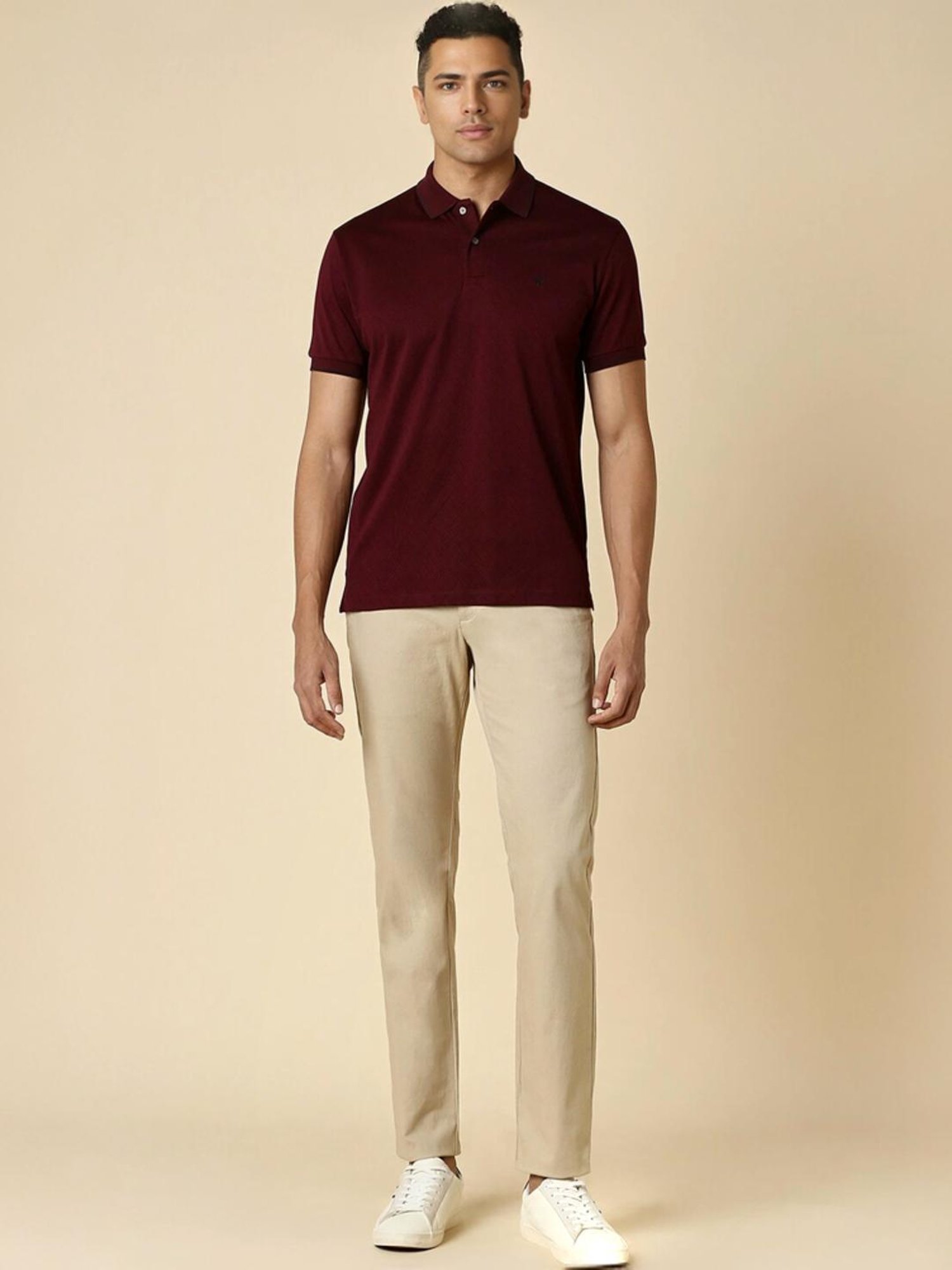 Allen Solly Maroon Regular Fit Polo T-Shirt