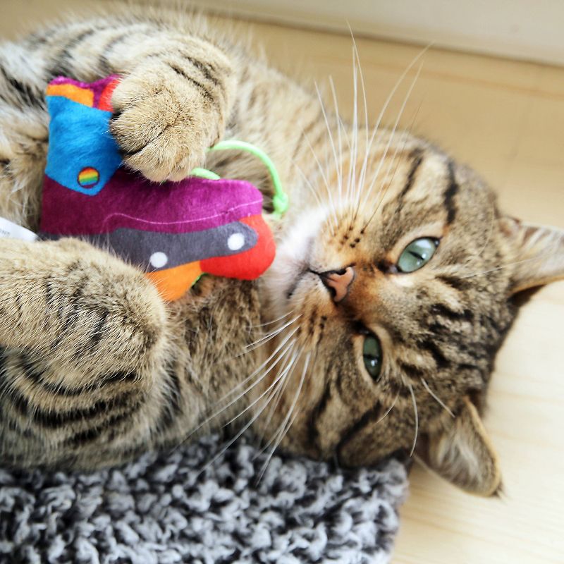 Quirky Kitty Roll with Pride Cat Toy - Blue