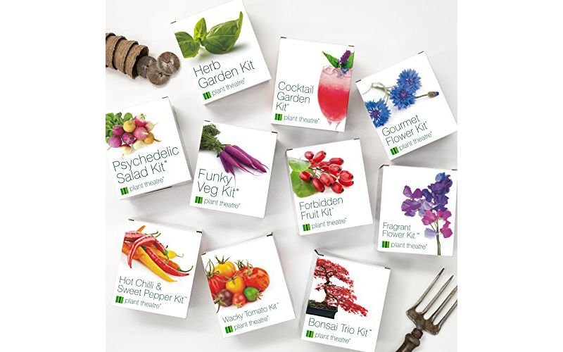 Plant Theatre Gourmet Flower Kit - Plant Seed Kit - 6 Edible Flower Varieties to Grow - Everything you need to start growing in one box!