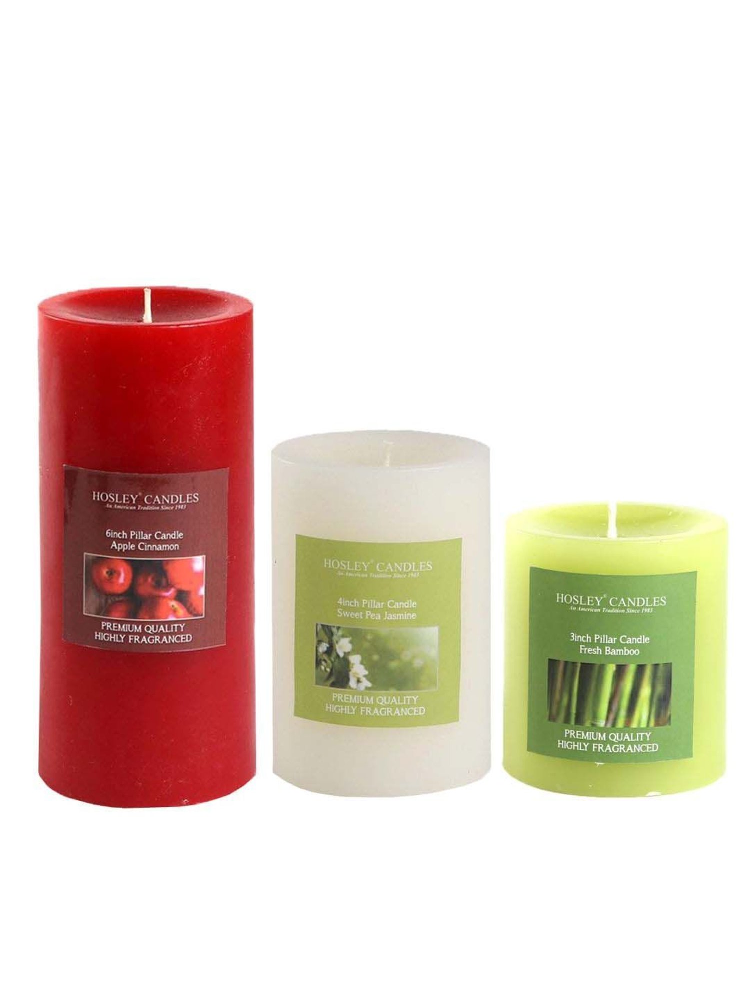 HOSLEY Multicolor Wax Pillar Candle - Set of 3
