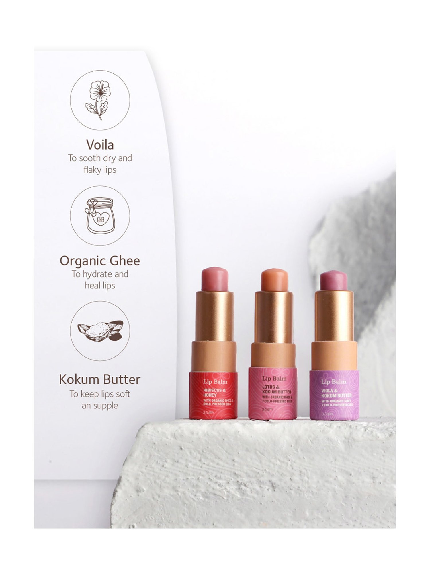 SoulTree Hibiscus & Honey with Organic Ghee & Cold Pressed Oils Ayurvedic Lip Balm - 3.5 gm