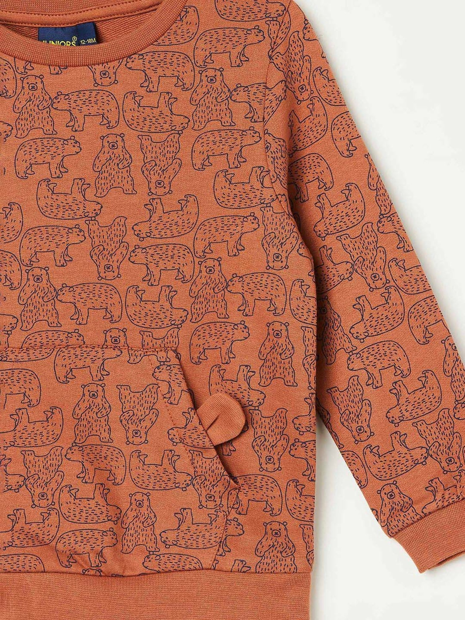 Juniors by Lifestyle Brown Cotton Printed Full Sleeves Sweatshirt