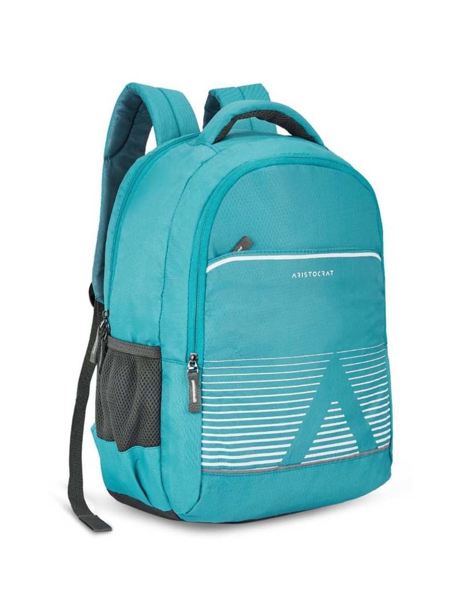 Aristocrat Kane 26 Ltrs Light Blue Medium Backpack