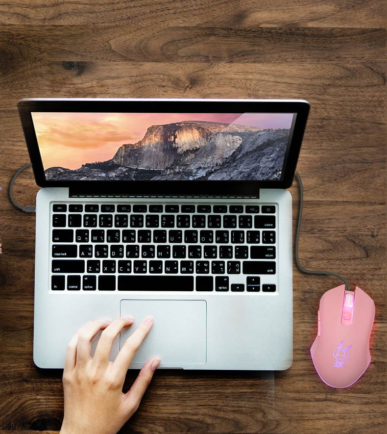 Type-C/USB-C Cute Rabbit LED Dimmer Mute Wired Mouse 2400DPI 6-button Ergonomic Design Mice For Office And Game