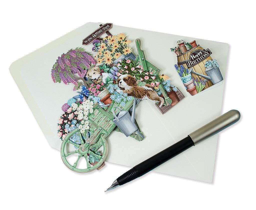 Paper D'Art 3D Pop Up Birthday Card