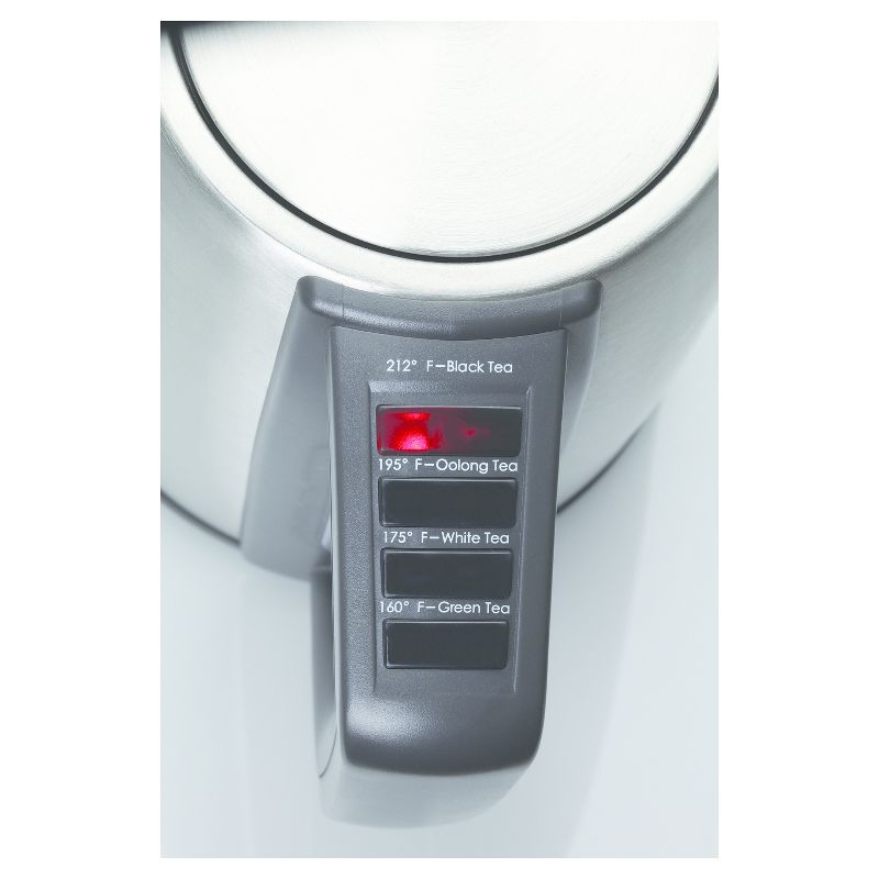 Capresso 4 Temperature Electric Water Kettle H2O Steel PLUS - Stainless Steel 278.05