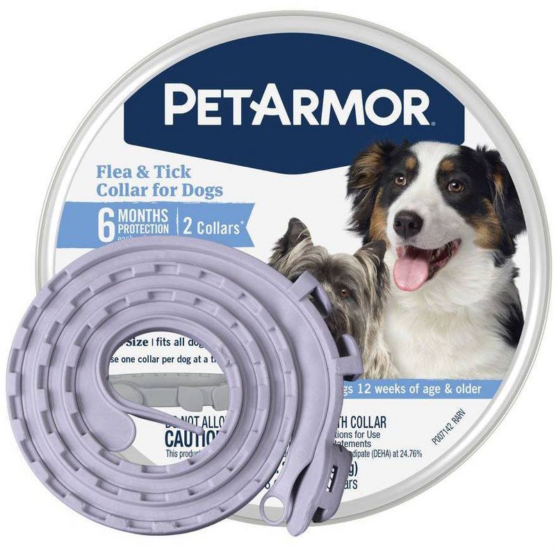 Safety Light Auto Dog Collar