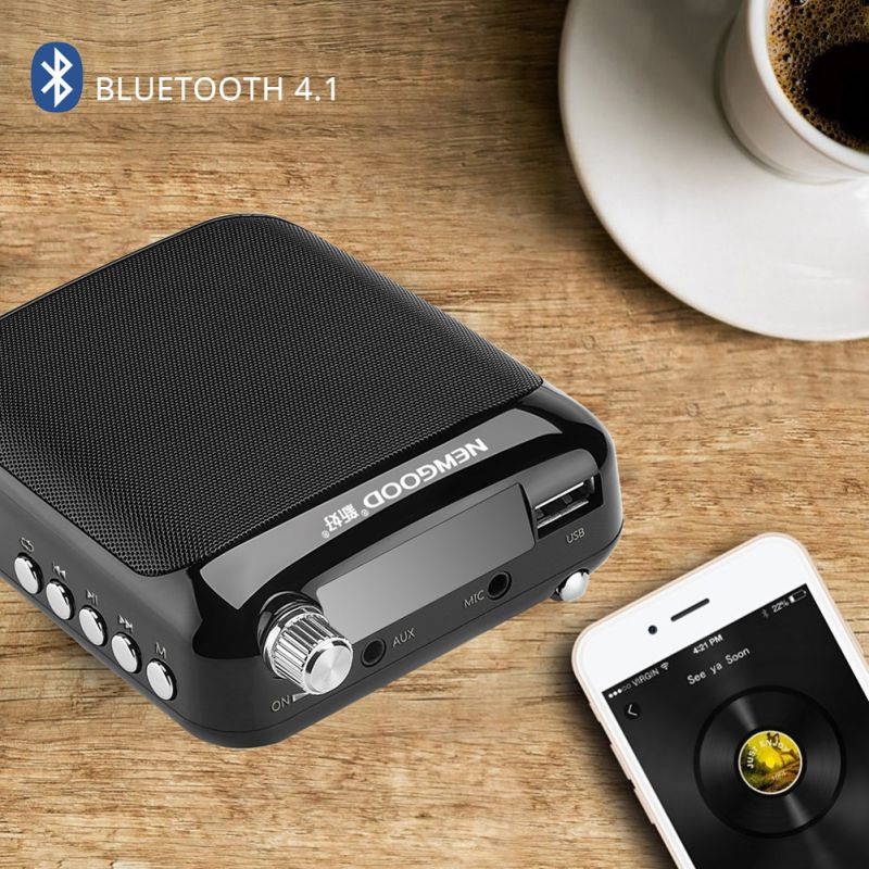 NEWGOOD Bluetooth loudspeaker Portable Wired Waistband Voice Amplifier with FM Radio for School Teachers Classroom Yoga Coach Training (black)