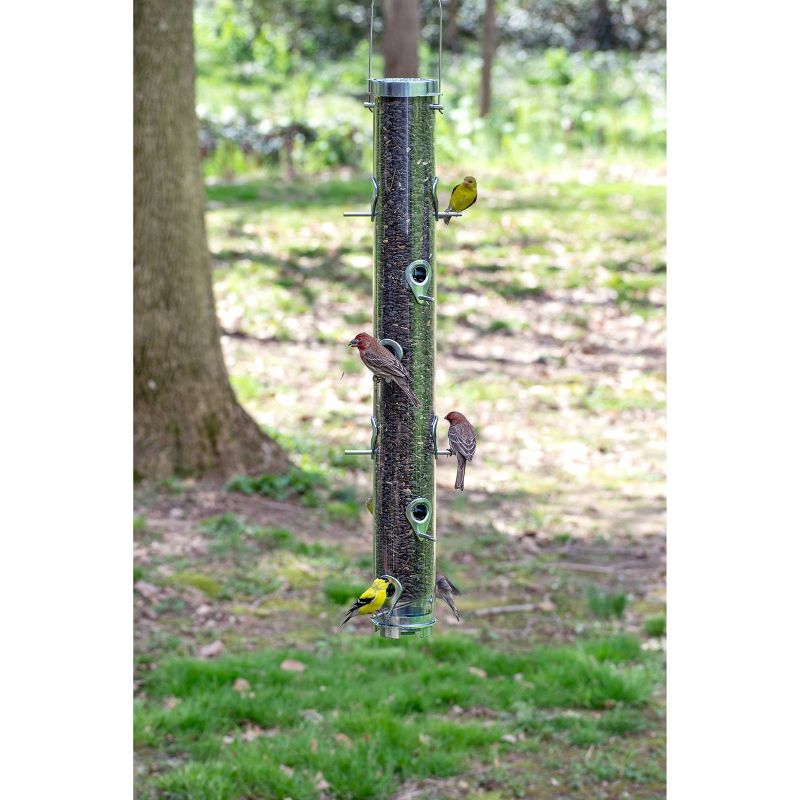 Droll Yankees Classic The Executive B-72 Bird Feeder