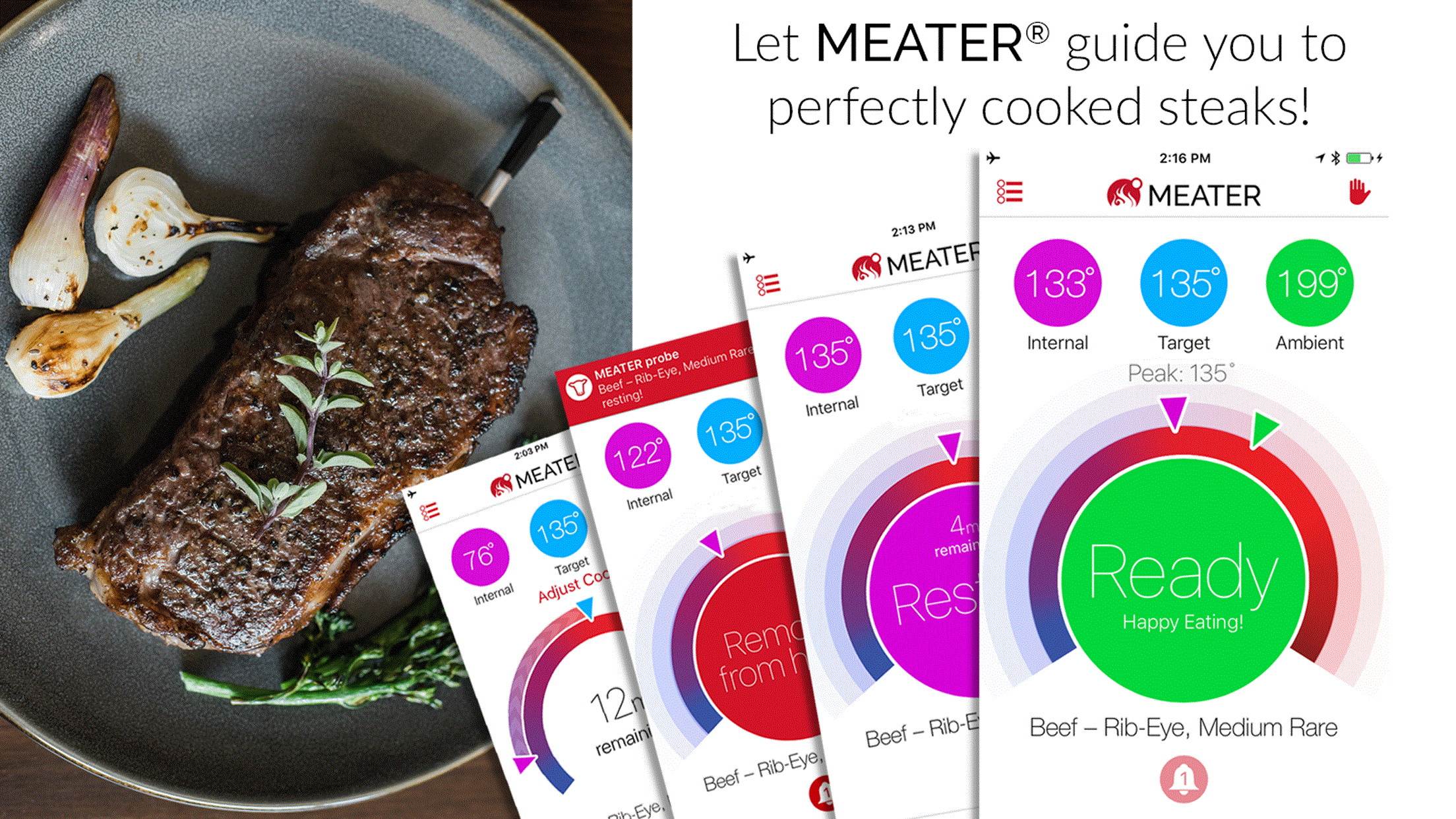 MEATER Bluetooth Smart Wireless Meat Thermometer with Internal and Ambient Sensors for Consistent Results - Amazon Alexa compatible