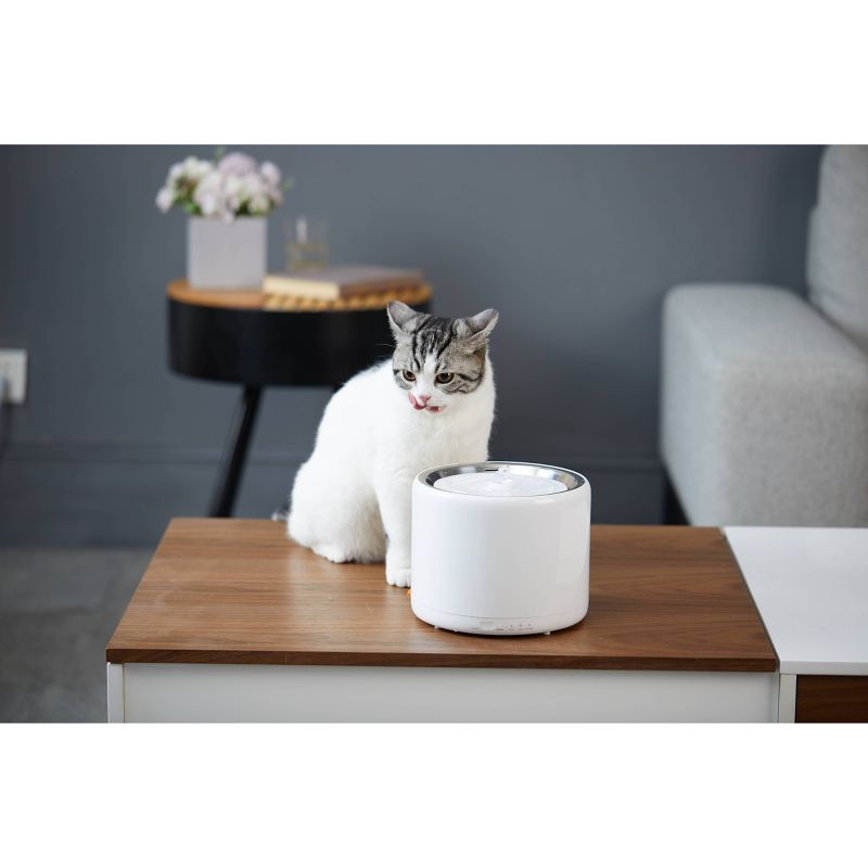 Amici Pet Marble Paw Glass Food Canister, 72oz