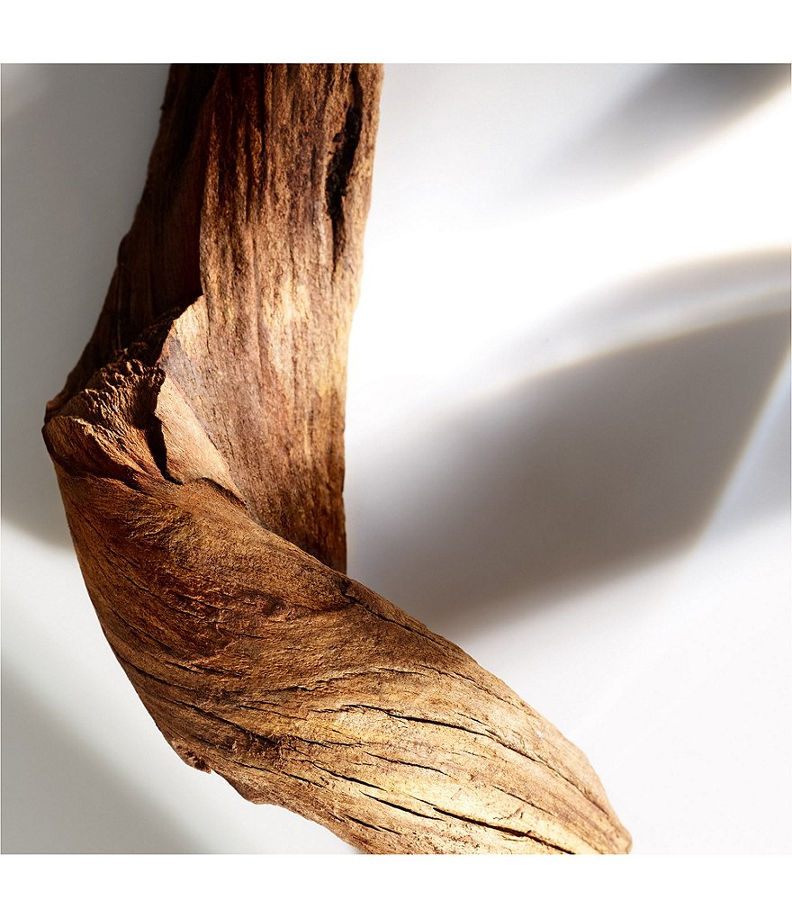 Michael Kors Wonderlust Eau de Parfum Spray