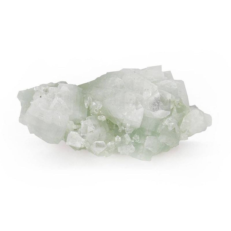 Fortify+ Natural Bacteria-Fighting Skincare Purifying and Renewing Facial Cleanser - 5.07 fl oz