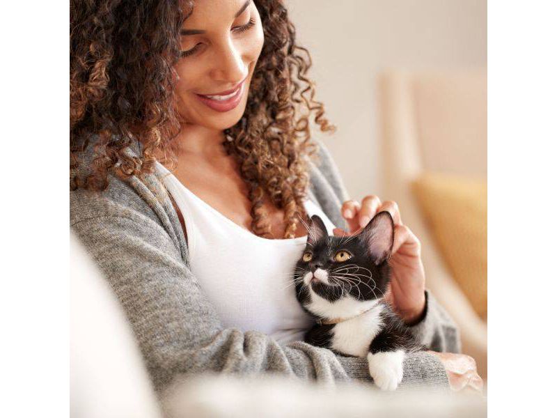 Rachael Ray Nutrish Tasty Salmon and Veggies Recipe Dry Cat Food - 5lbs