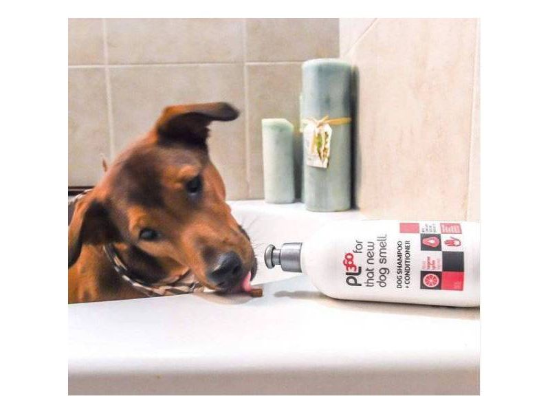 PL360 Shampoo + Conditioner For Dogs -  16oz
