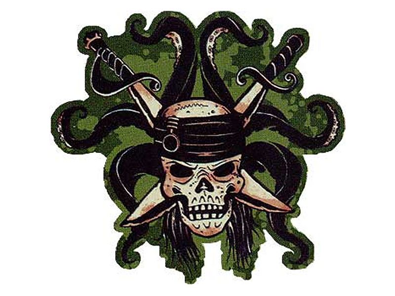 Pirates Caribbean Skull Self-Stick Wall Accent Mural - Pirates of the Caribbean..