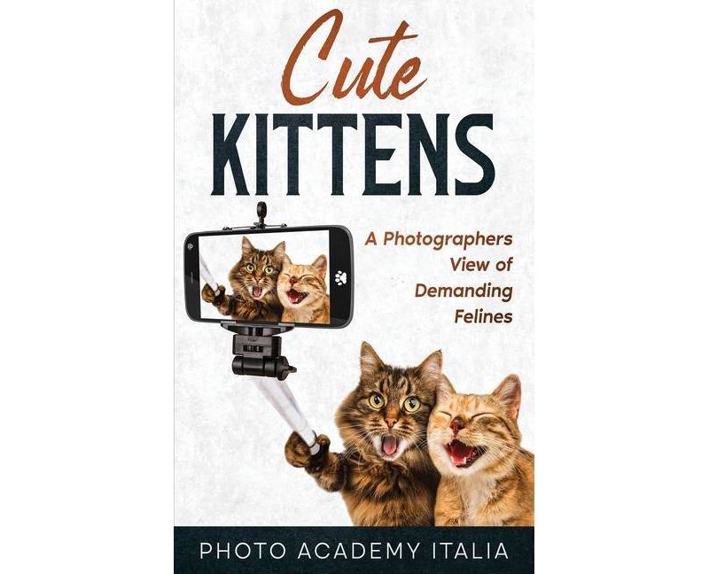 Behold the Personal Maine Coon - by  Phyllis Stiebens (Paperback)