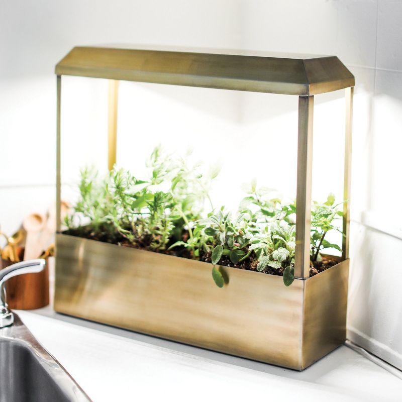 Modern Sprout Brass Growhouse V2 - Smart Indoor Planter with Grow Light
