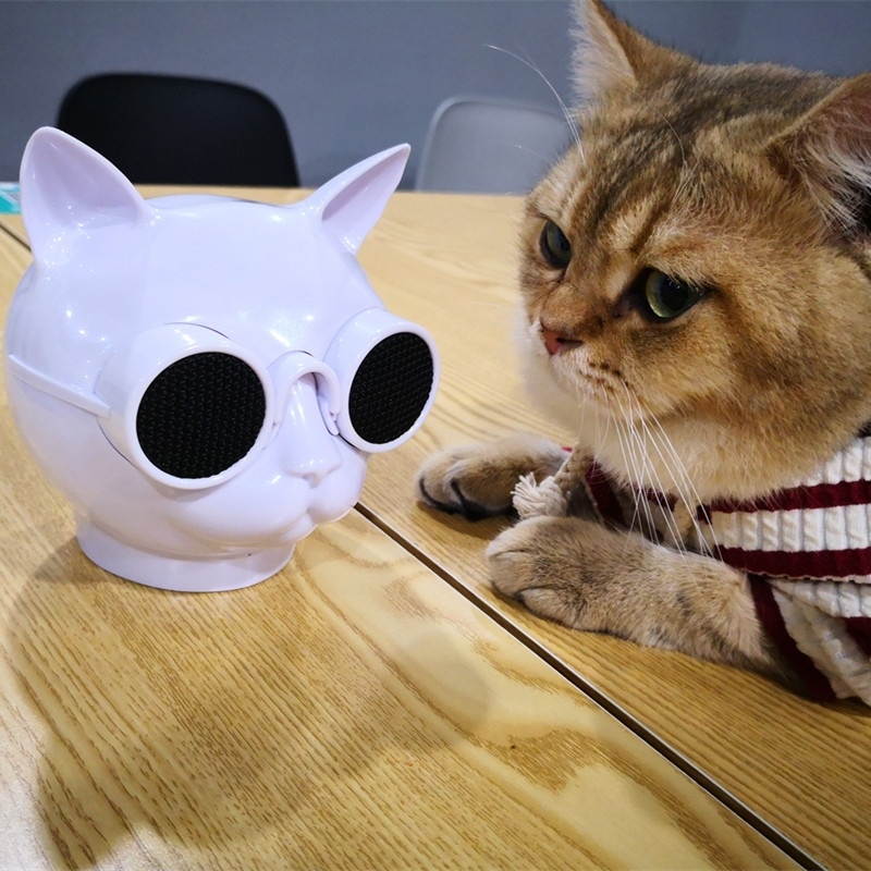 Enermax O'Marine EAS03-BS Black/Silver Waterproof Wireless Speaker