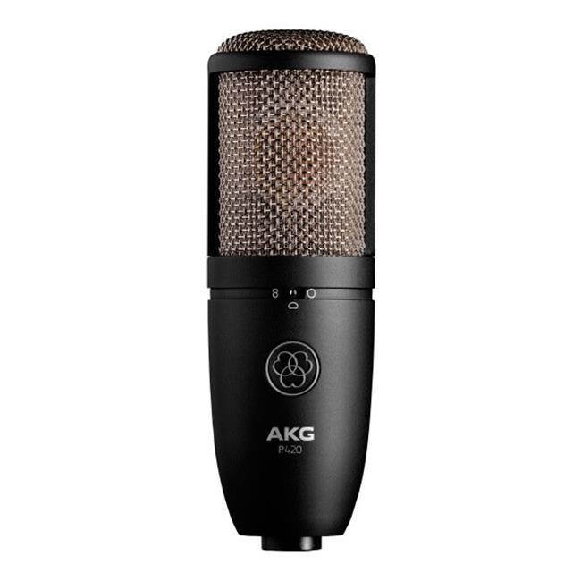 AKG Acoustics 3101H00430 P420 High-Performance Dual-Capsule True Condenser Microphone