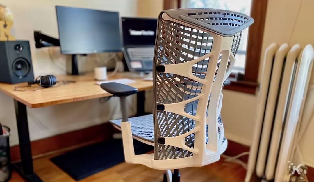 Autonomous Ergonomic Office Chair - ErgoChair Pro+ White Frame, Naked Grey TPE