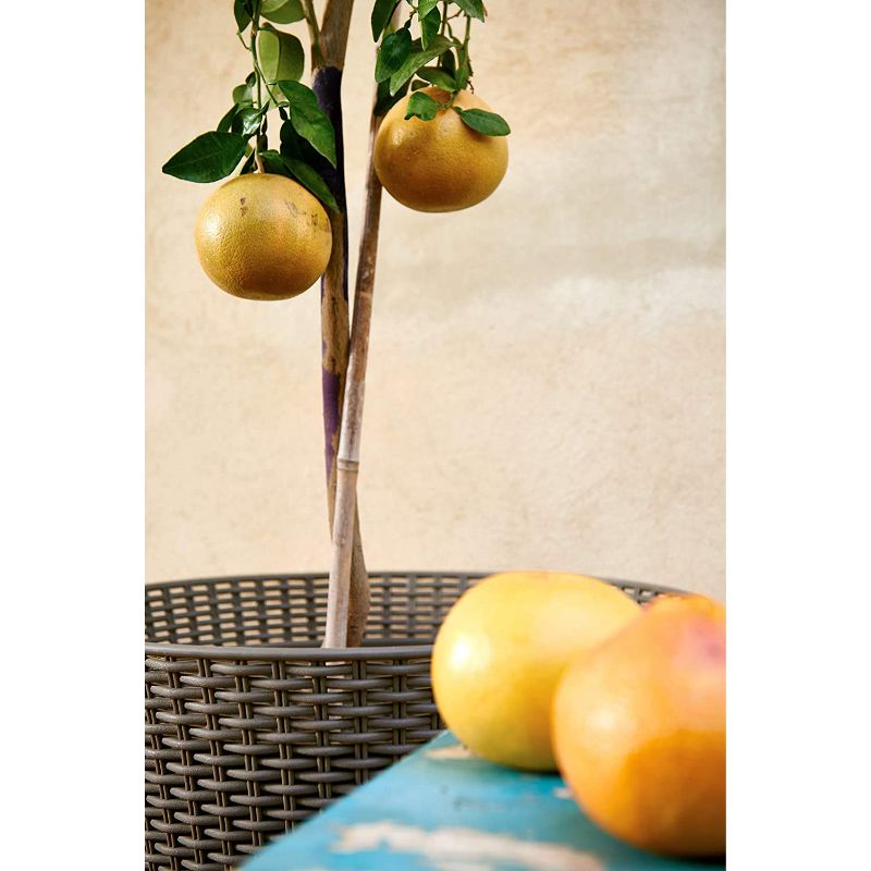 Keter 15 Gallon Indoor & Outdoor Round Conic Resin Wicker Flower Planter Pot with Drainage for Garden and House, Whiskey Brown (2 Pack)