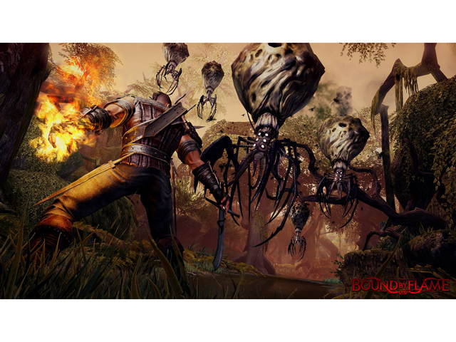 Bound by Flame [Online Game Code]