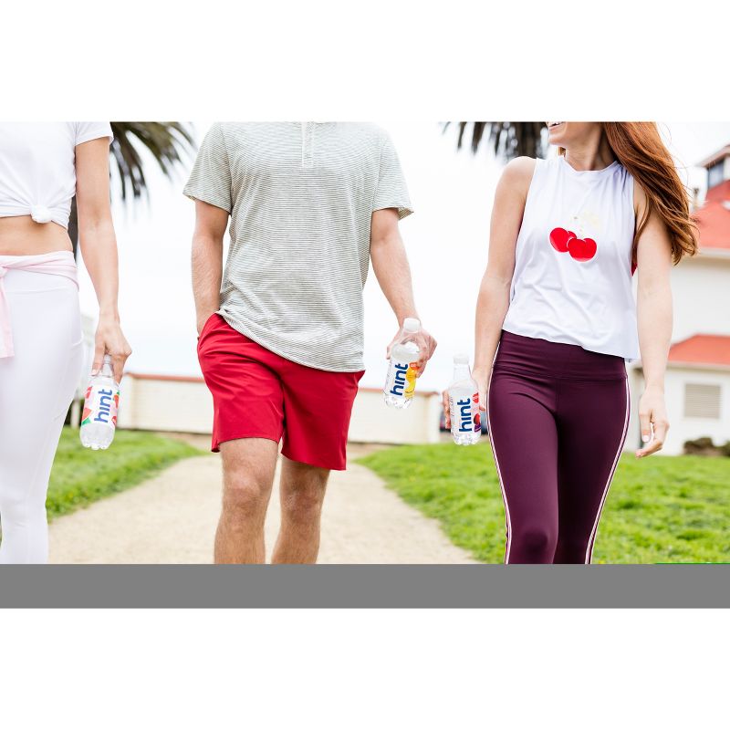 hint Blackberry Flavored Water - 16 fl oz Bottle