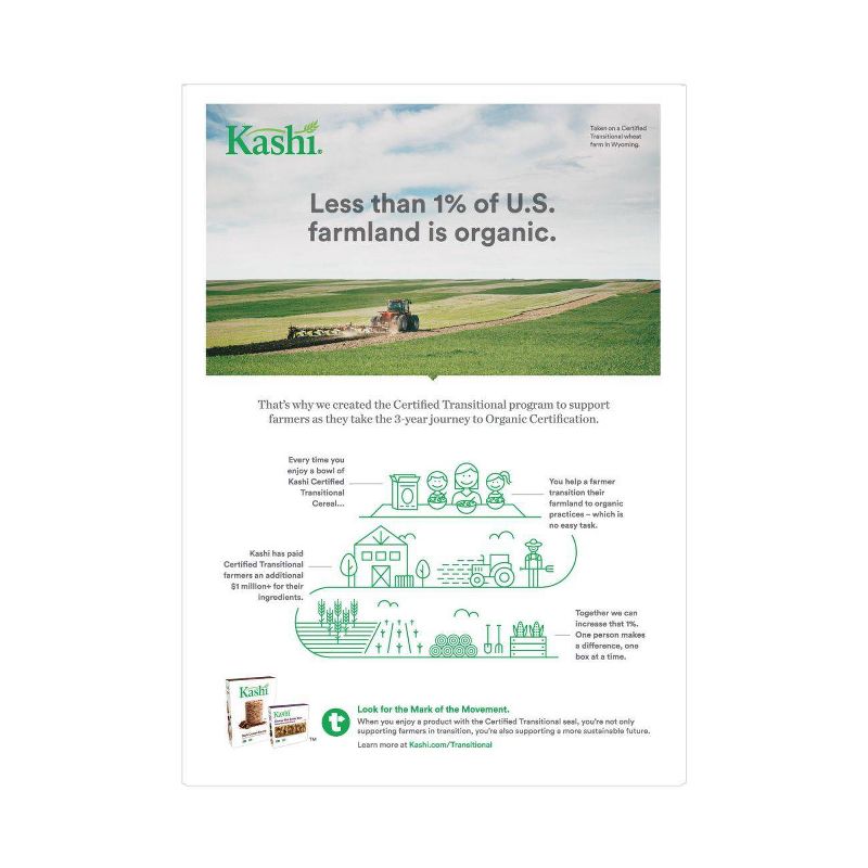 Kashi Heart To Heart Warm Cinnamon Oat Breakfast Cereal - 12oz