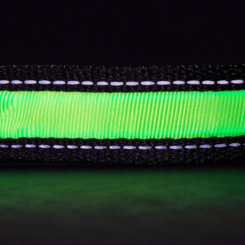 Life+Gear Rechargeable Glow Dog Collar - S