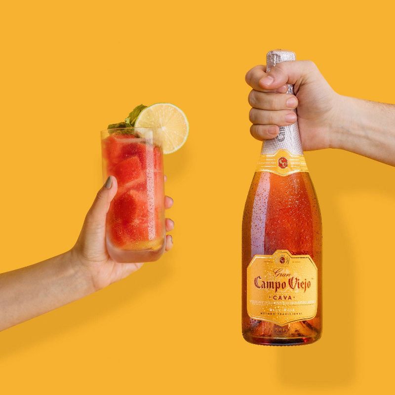 Campo Viejo Brut-Rosé Cava Sparkling Wine - 750ml Bottle