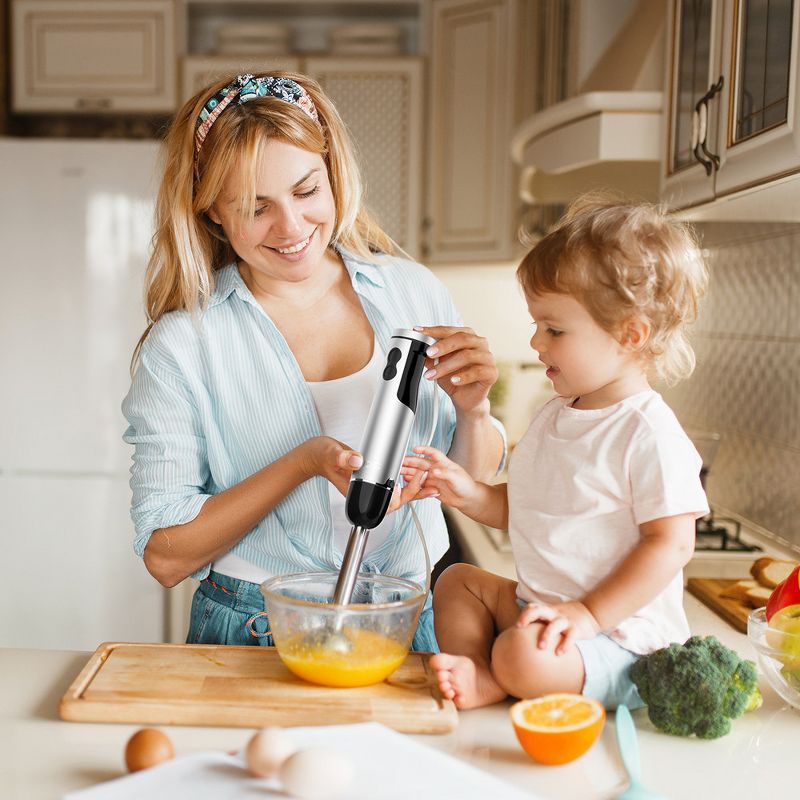 BlendTec Designer 650 Blender