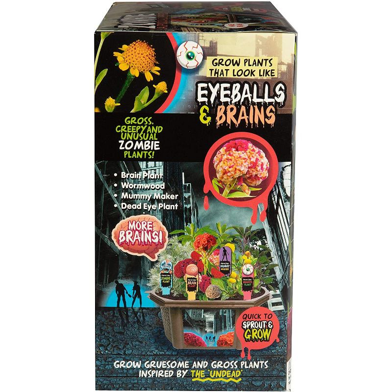 Toys By Nature Biosphere Terrariums - Zombie Apocalypse