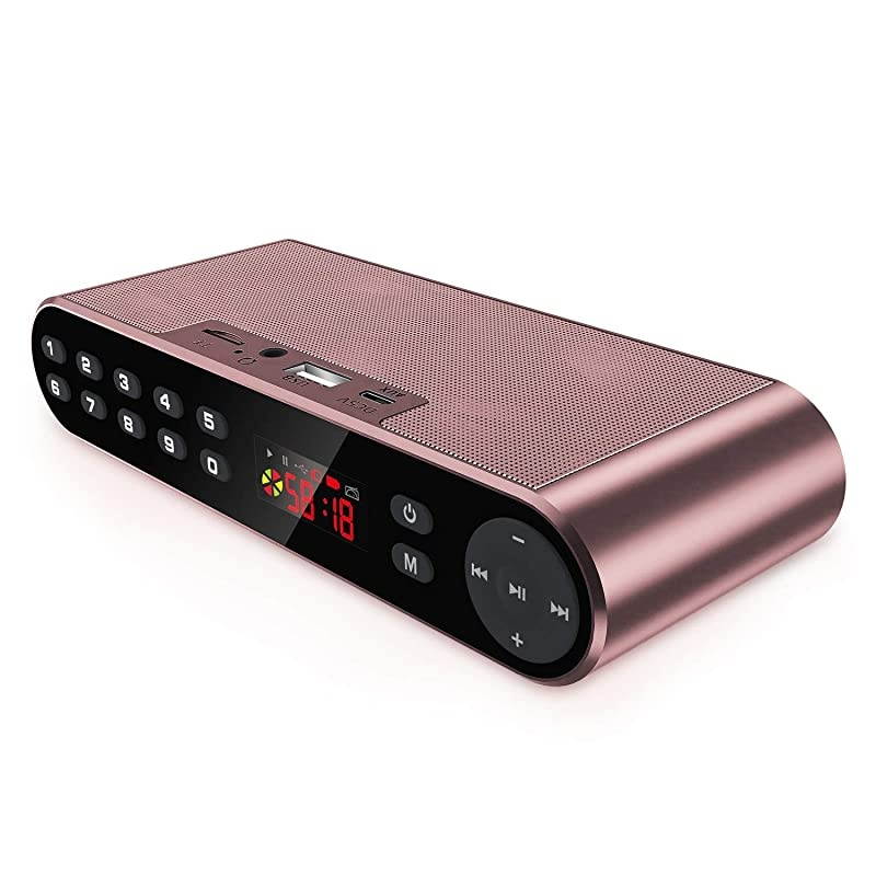 Bluetooth Speakers with FM Radio MP3 Player Stereo Portable Wireless Speaker Dual Drivers with HD Sound Builtin Microphone High Definition Audio and Enhanced Bass Pink