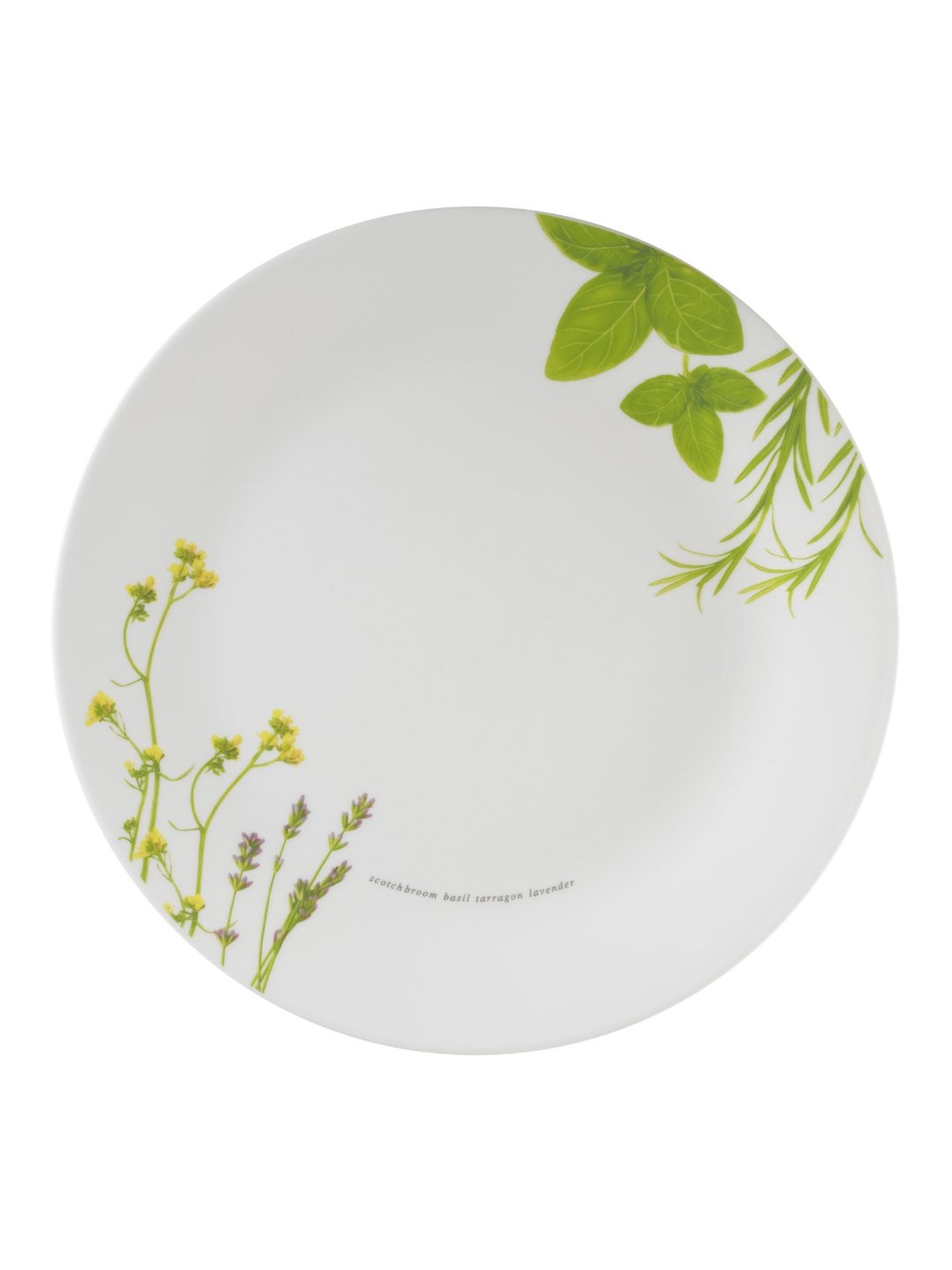 Corelle Asia European Herbs 26cm Dinner Plate Pack of 6