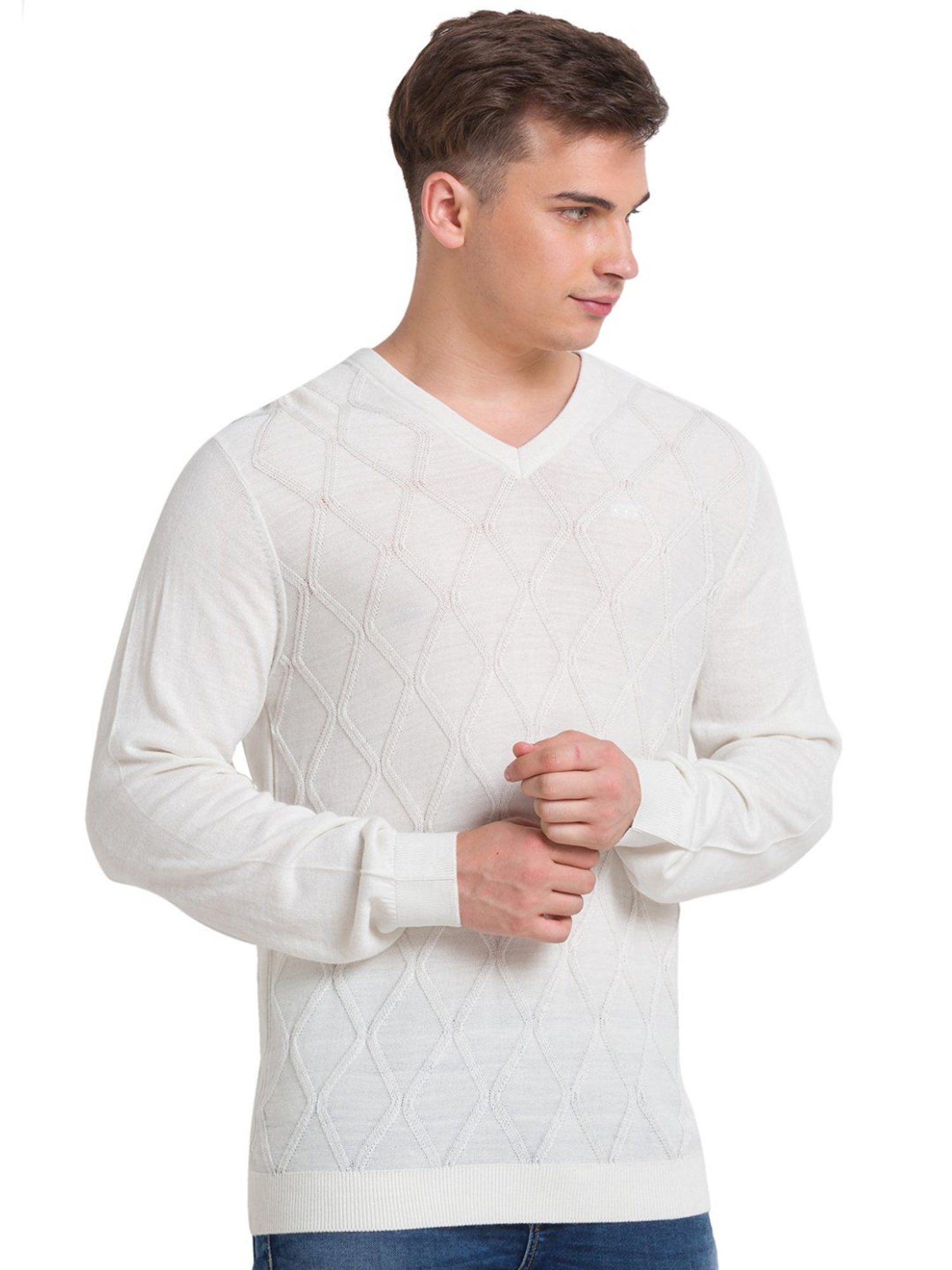 ColorPlus White Tailored Fit Self Pattern Sweater