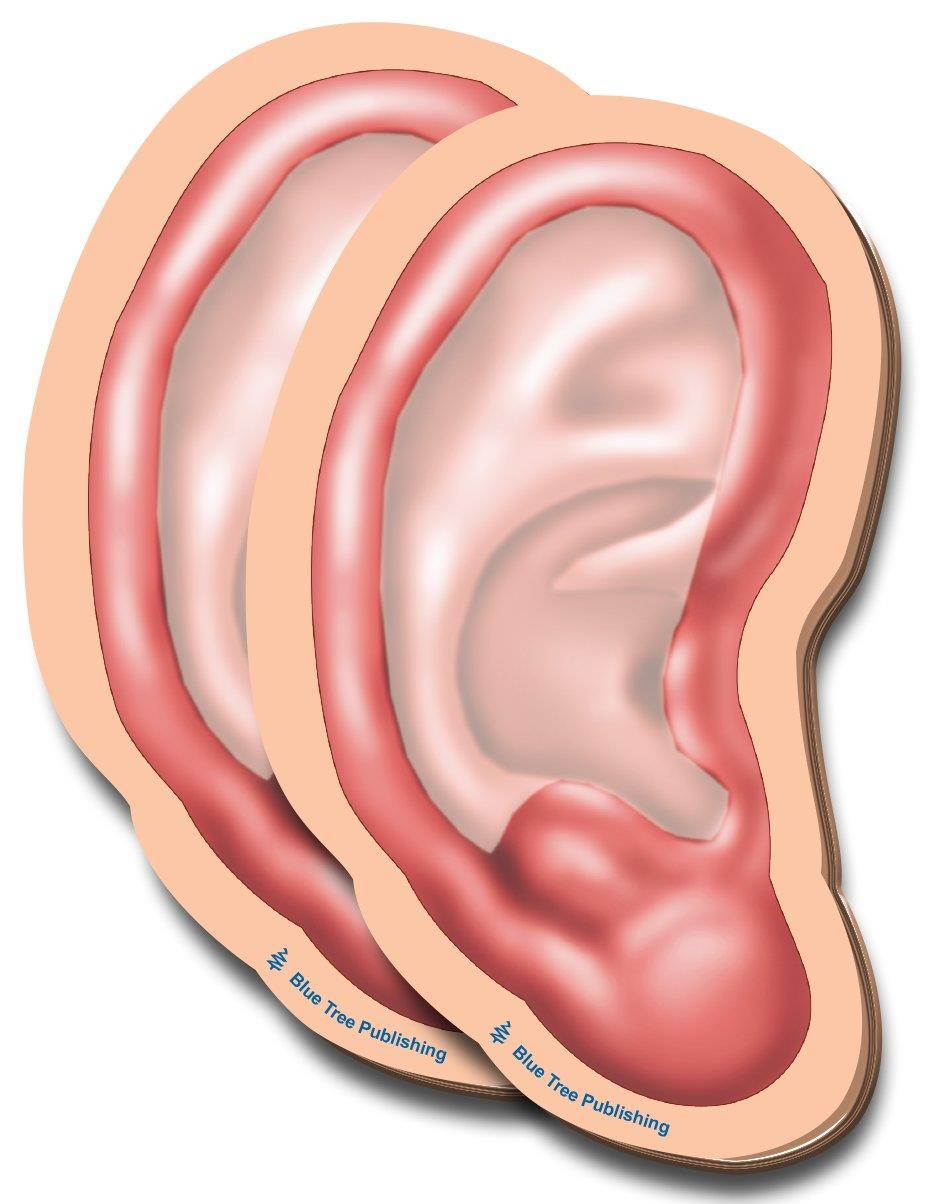 Ear Sticky Notes, 2 Pack-100 Sheets Per Pack