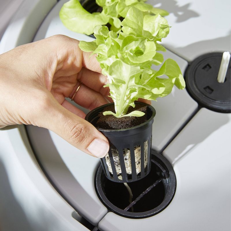 Root Farm Hydroponic Garden System