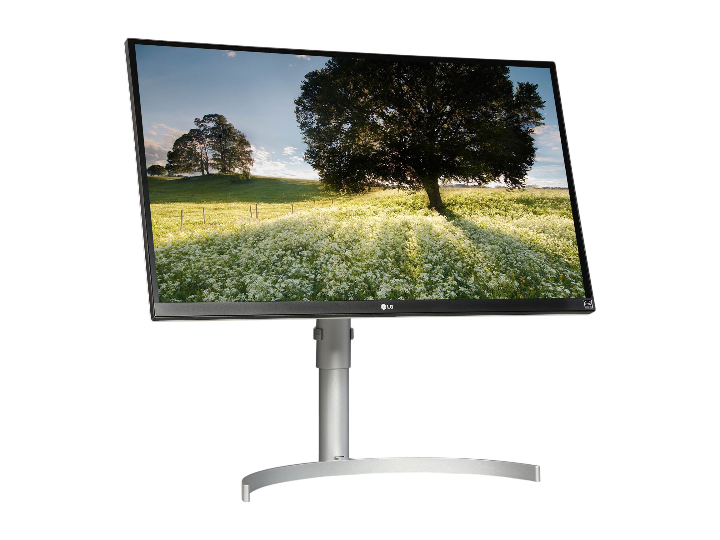 ZOWIE XL2411P 24 Inch 144Hz Gaming Monitor / 1080P 1ms / Black eQualizer and Color Vibrance for Competitive Edge / Does not Support 120Hz on console