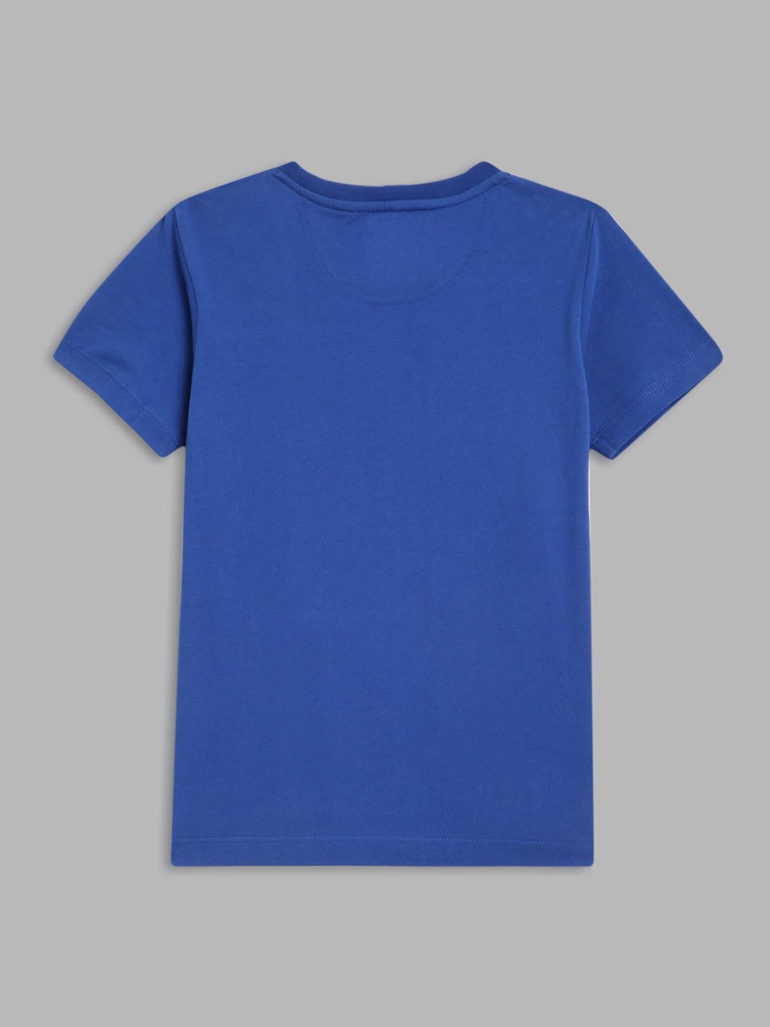 Blue Giraffe Kids Multicolor Color Block T-Shirt