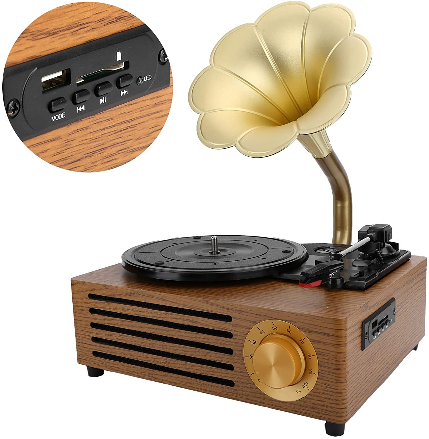 Vintage Petunias Record Player Bluetooth Turntable with 3 Built in Stereo Speakers USB Recording Phonograph