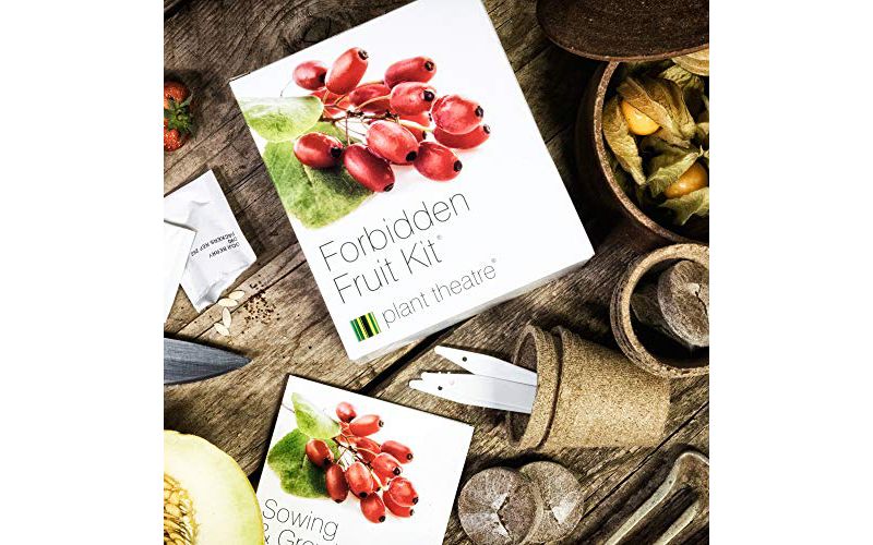 Plant Theatre Forbidden Fruit Kit - Plant Seed Kit - 5 Delectable Fruits to Grow - Everything You Need to Start Growing in one Box!