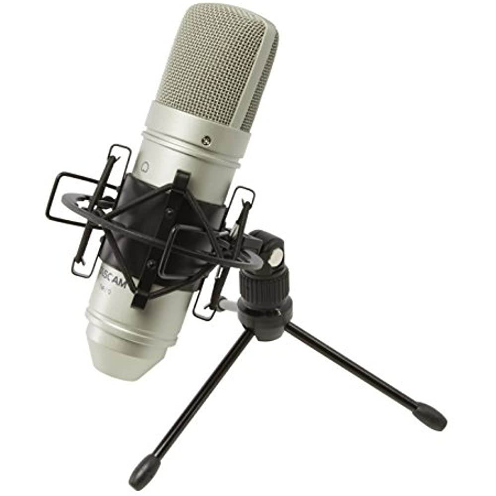 Tascam TM-80 Condenser Microphone